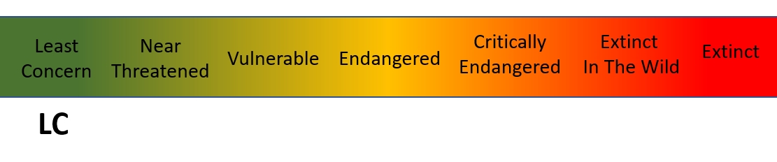 IUCN Red List: LC